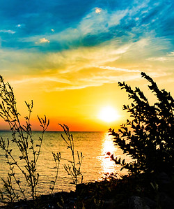 Image by Luca N