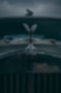 R.A.C Luxury Car Showroom