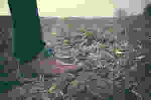 トレッキングシューズ