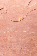 Image by Wesley Tingey