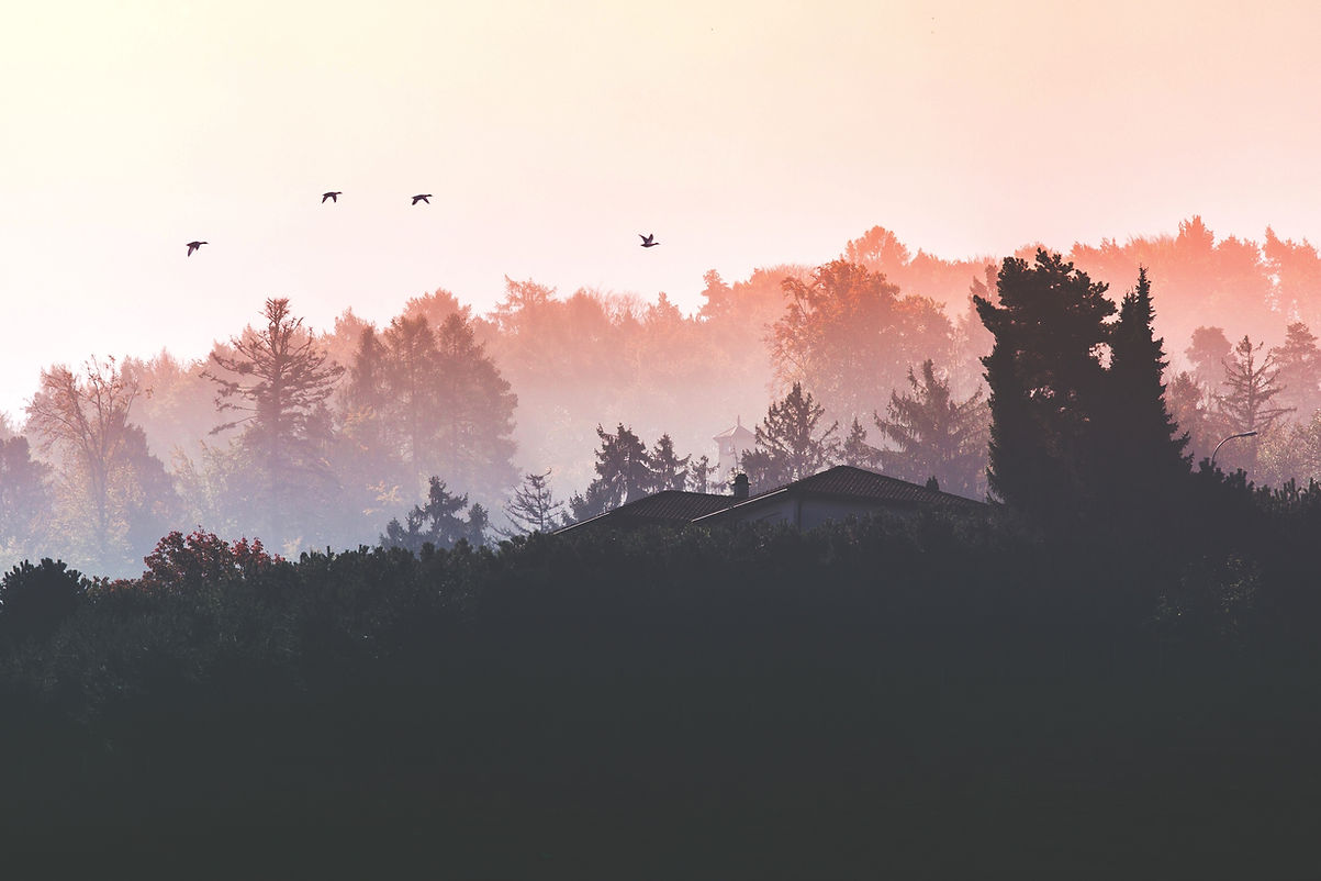 Image by Katerina Kerdi