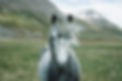 Image by Oscar Nilsson