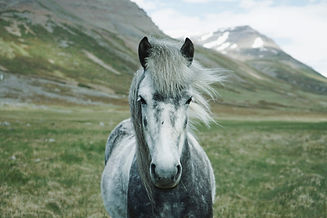 Image by Oscar Nilsson