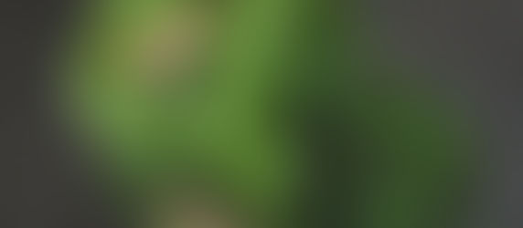 What's the Meaning of Mint?