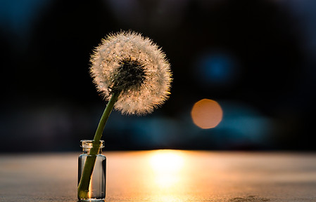 Image by Denise Johnson