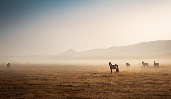 Image by Joseph Daniel