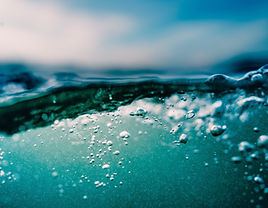 Image by Ryan Loughlin