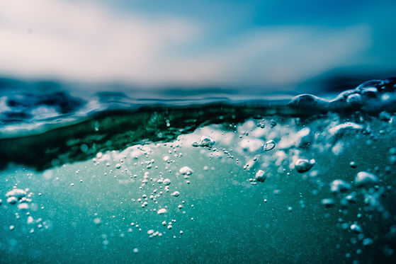 Image by Ryan Loughlin