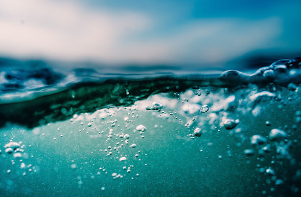 Image by Ryan Loughlin