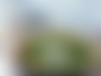 Herzhafte Spargel-Crêpes