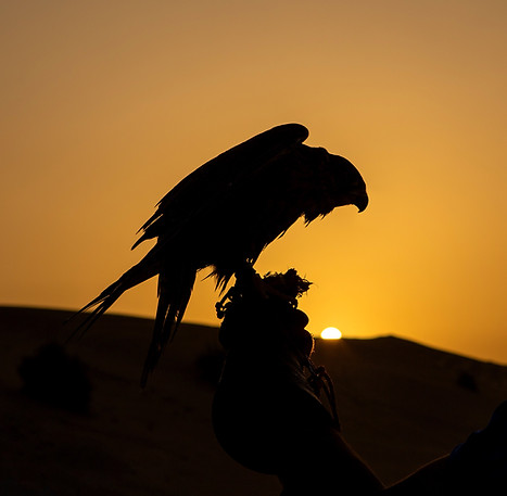 Image by Mark de Jong