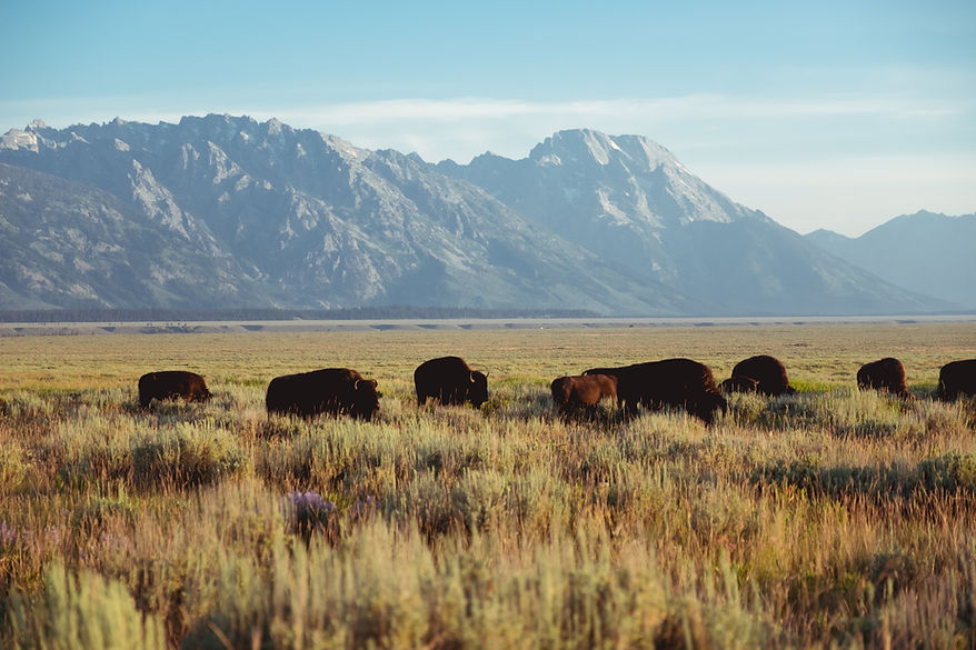 Image by Nick Dunlap