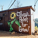 Image by Kyle Glenn
