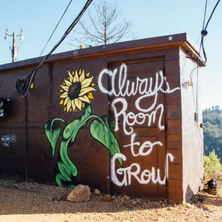 Sustainability Goals 2026