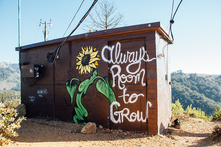 Image by Kyle Glenn