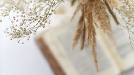 2022.04.11 約書亞記14-15章「迦勒的信心」