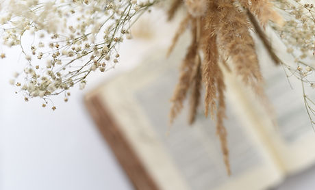 Finding Favor in Every Season