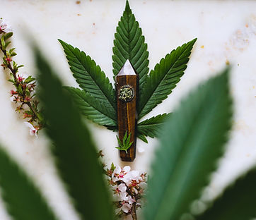 Le CBD, naturellement sain et bon pour la santé. Fleurs de CBD, Résines de CBD, Huiles de CBD. A vous de faire votre choix selon vos besois et désirs