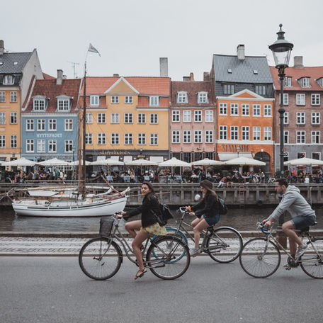 Danish universities