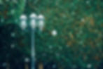 Missio Advent Inspired by Narnia
