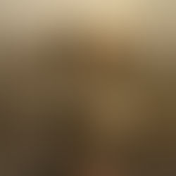 What’s Defiance County’s Elevator Speech?