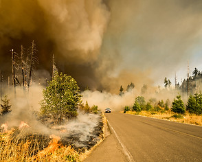 Image by Marcus Kauffman