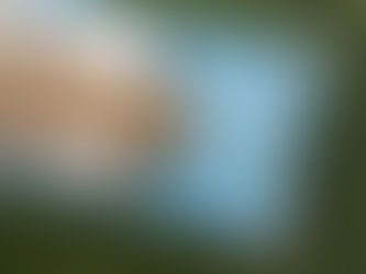 Submit a Guest Post in Cozad, Nebraska