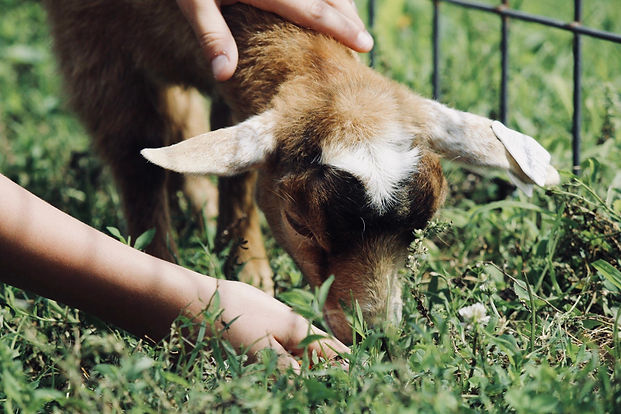 Image by sydney Rae