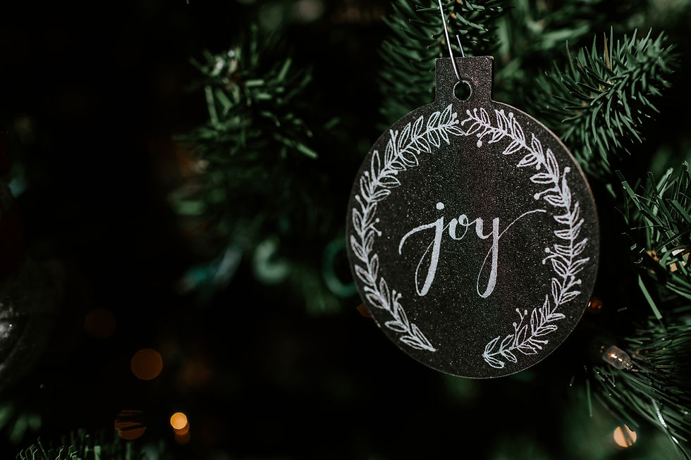 Memory Ornament Making - Shelby