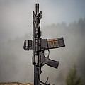 Image by STNGR Industries