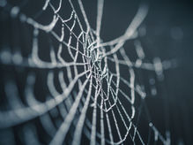Reconciling Duality and Non-Duality in Everyday Life