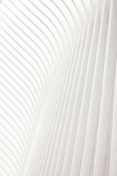 Image by Ryan Shumway