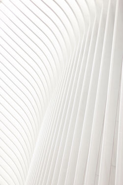 Image by Ryan Shumway