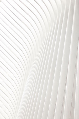 Image by Ryan Shumway