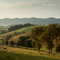 Image by Matthew Lancaster