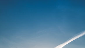 Impresa e cooperativa sociale: disciplina e profili del lavoro