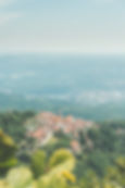 Image by Josè Maria Sava