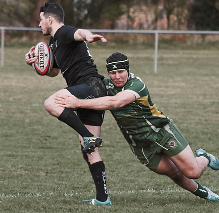 Image by Max Leveridge