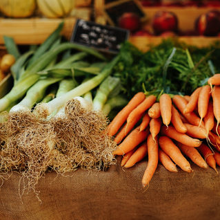 Maximizing the Potential: Winter Use of Polytunnels and Seasonal Vegetables