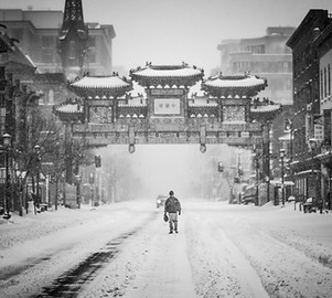 Image by Matt Popovich