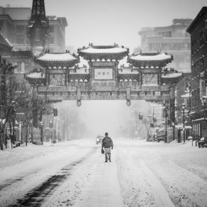 What Exactly Does 'Xue Hua Piao Piao' Mean?