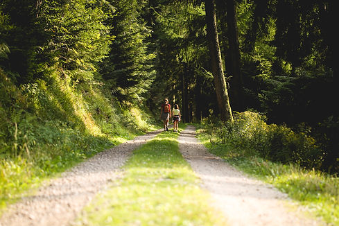 Image by Nicolas Picard