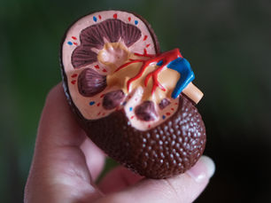 Chronic Kidney Disease
