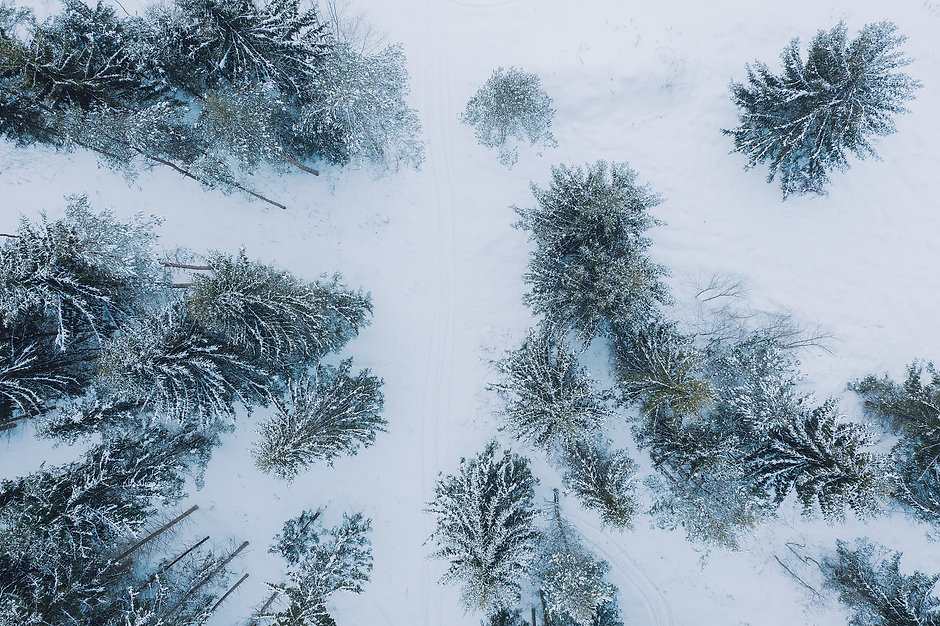 Image by Stefan Hiienurm
