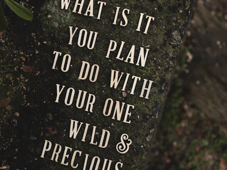 A dreamer, a sage, an inner child. To be successful follow your passion.