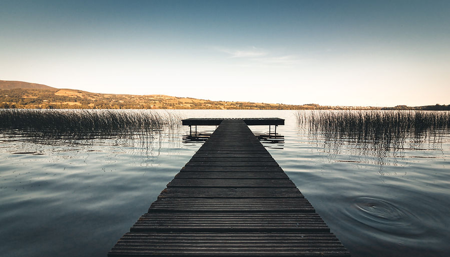 Image by Kieran Sheehan