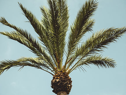 Image by Alexander Naglestad