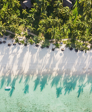 Image by Teodor Kuduschiev