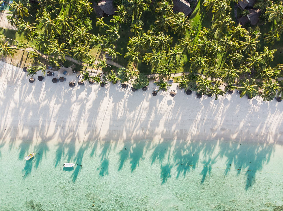 Mauritius Is To Legalize Medical Cannabis Imports But Cultivation Not Under Consideration