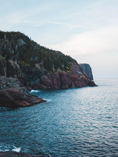 Image by Erik Mclean